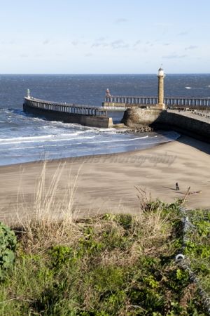 goth whitby 111.jpg
